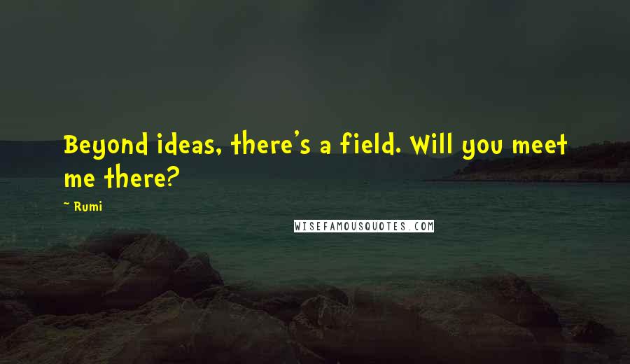 Rumi Quotes: Beyond ideas, there's a field. Will you meet me there?