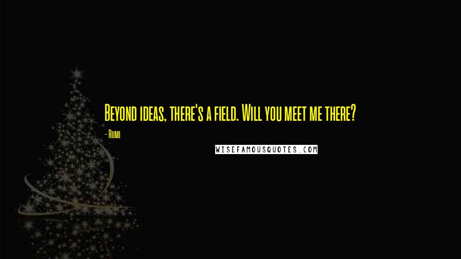 Rumi Quotes: Beyond ideas, there's a field. Will you meet me there?