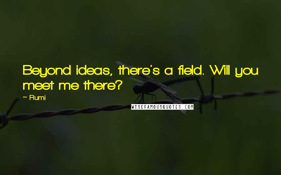 Rumi Quotes: Beyond ideas, there's a field. Will you meet me there?