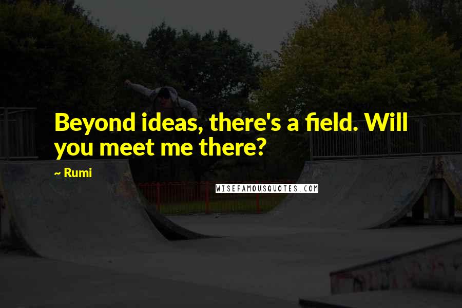 Rumi Quotes: Beyond ideas, there's a field. Will you meet me there?