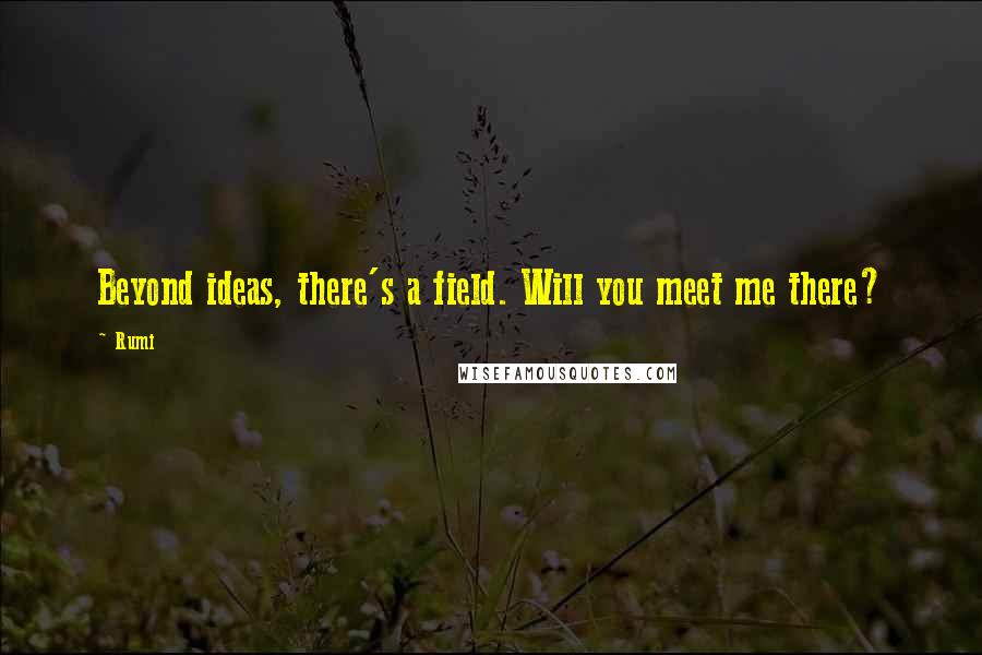 Rumi Quotes: Beyond ideas, there's a field. Will you meet me there?