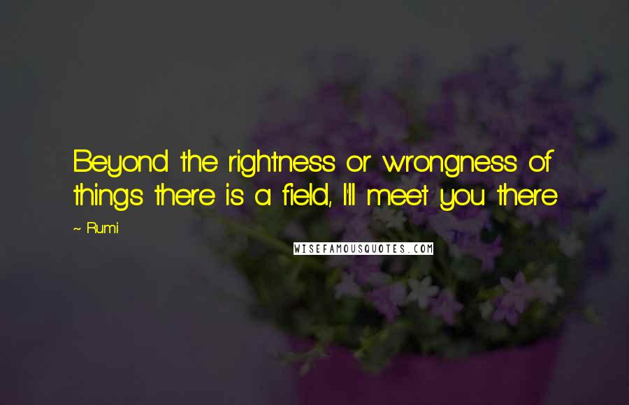 Rumi Quotes: Beyond the rightness or wrongness of things there is a field, I'll meet you there