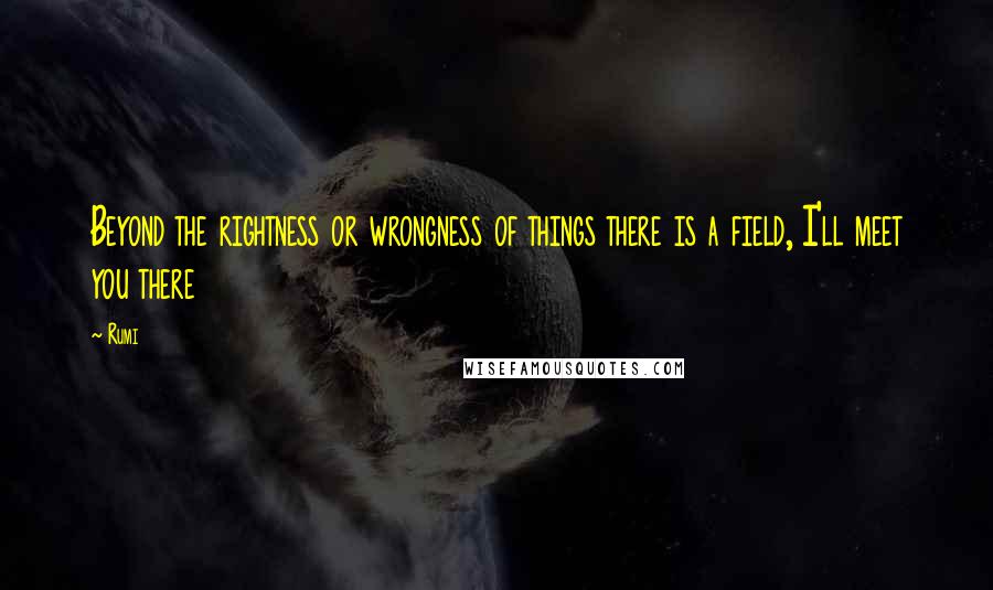 Rumi Quotes: Beyond the rightness or wrongness of things there is a field, I'll meet you there