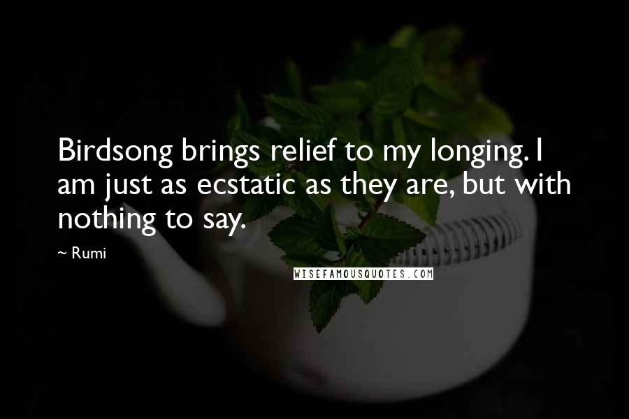 Rumi Quotes: Birdsong brings relief to my longing. I am just as ecstatic as they are, but with nothing to say.