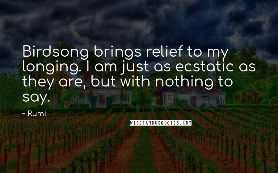 Rumi Quotes: Birdsong brings relief to my longing. I am just as ecstatic as they are, but with nothing to say.