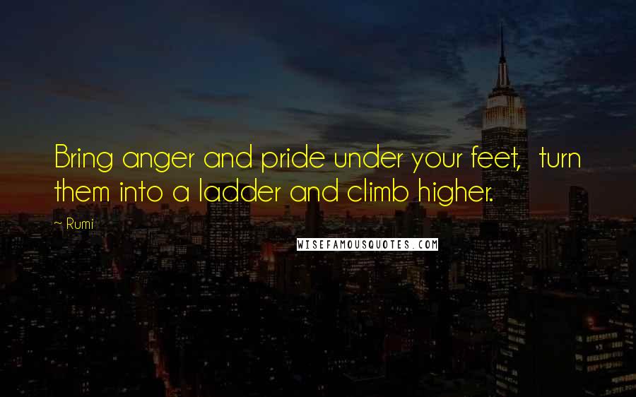 Rumi Quotes: Bring anger and pride under your feet,  turn them into a ladder and climb higher.
