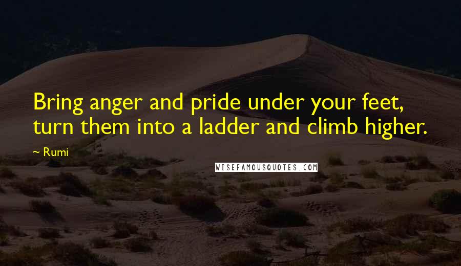 Rumi Quotes: Bring anger and pride under your feet,  turn them into a ladder and climb higher.