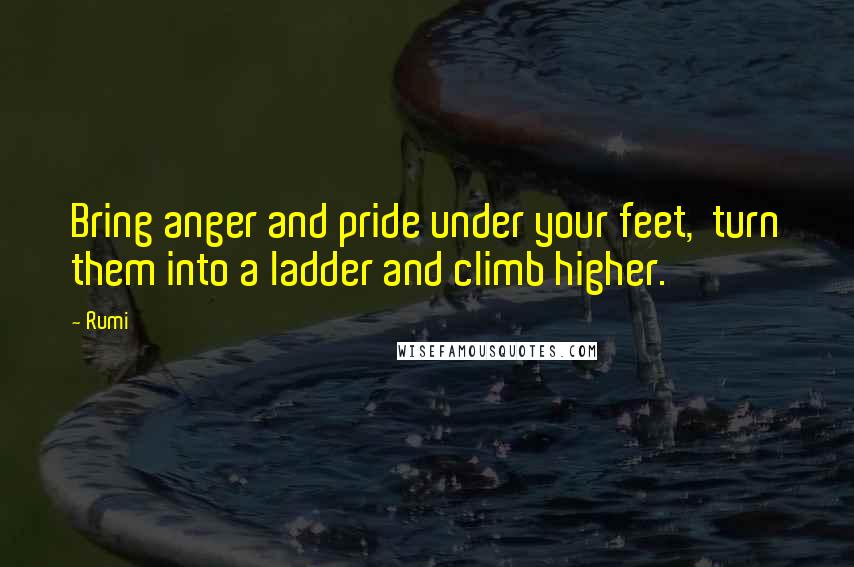 Rumi Quotes: Bring anger and pride under your feet,  turn them into a ladder and climb higher.