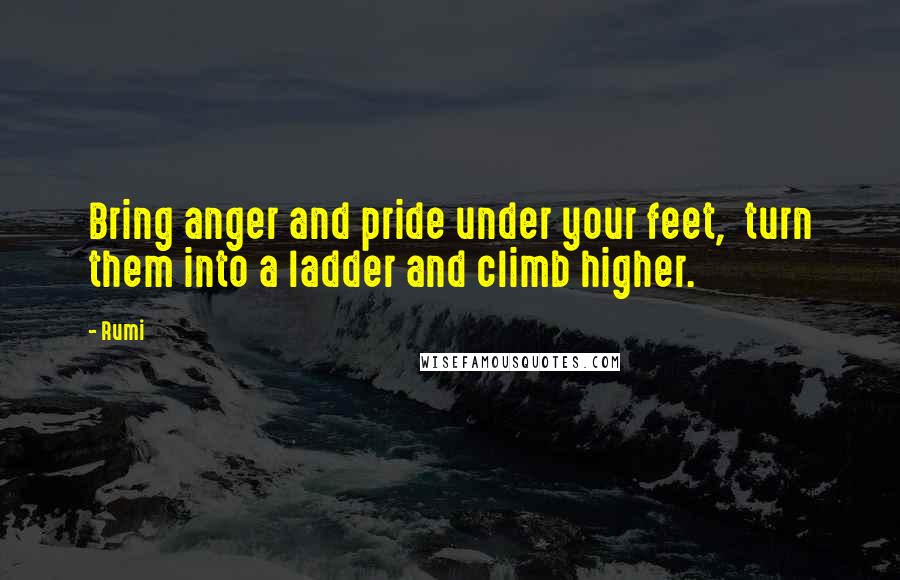 Rumi Quotes: Bring anger and pride under your feet,  turn them into a ladder and climb higher.