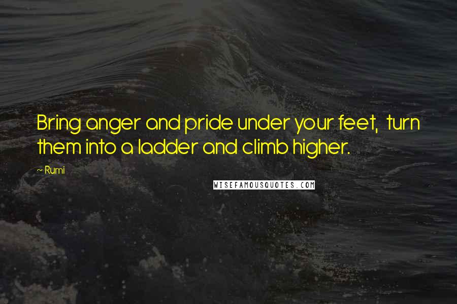 Rumi Quotes: Bring anger and pride under your feet,  turn them into a ladder and climb higher.