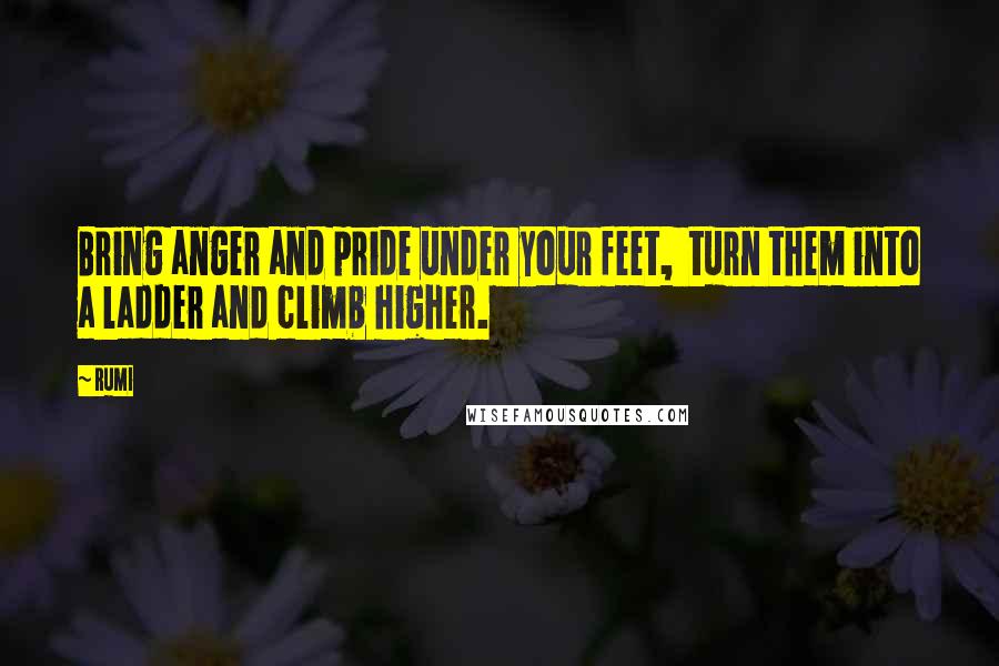 Rumi Quotes: Bring anger and pride under your feet,  turn them into a ladder and climb higher.
