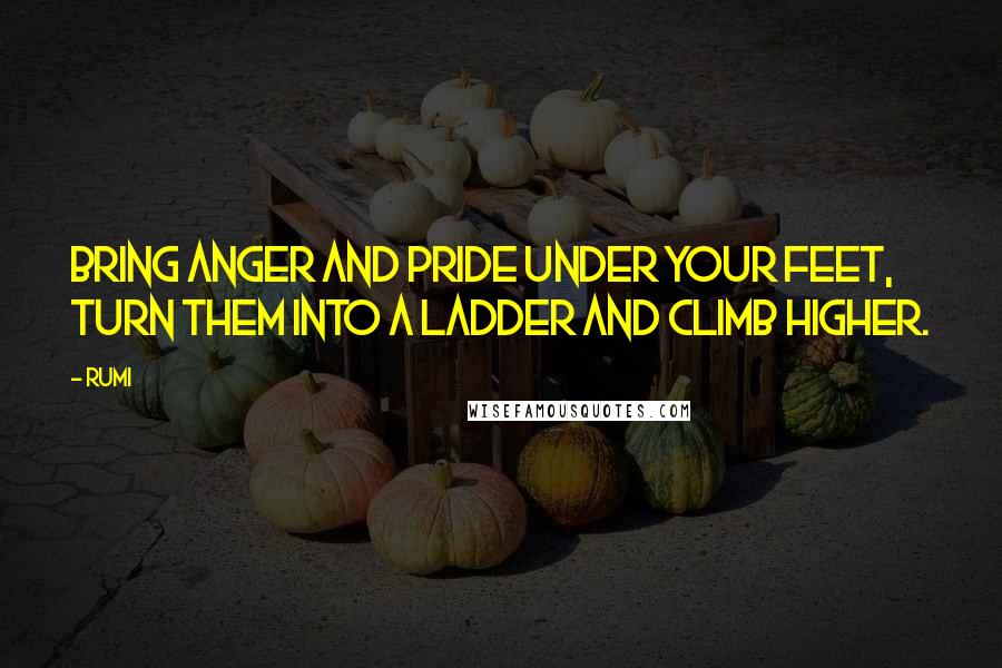 Rumi Quotes: Bring anger and pride under your feet,  turn them into a ladder and climb higher.
