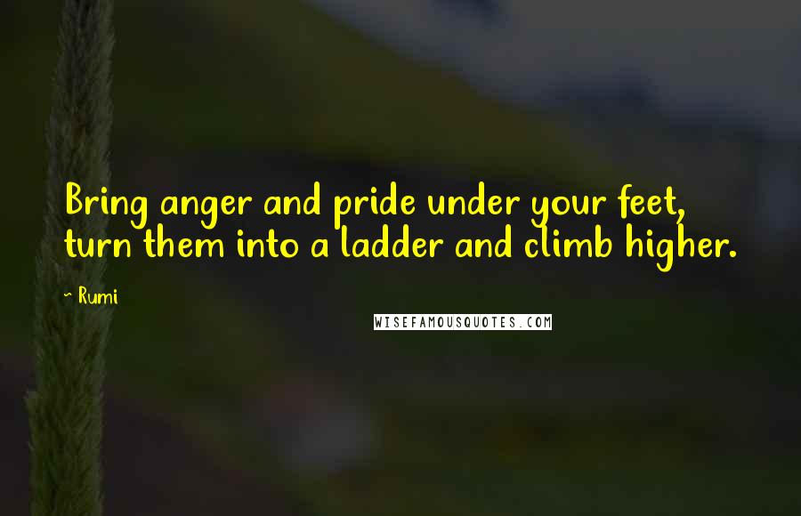 Rumi Quotes: Bring anger and pride under your feet,  turn them into a ladder and climb higher.
