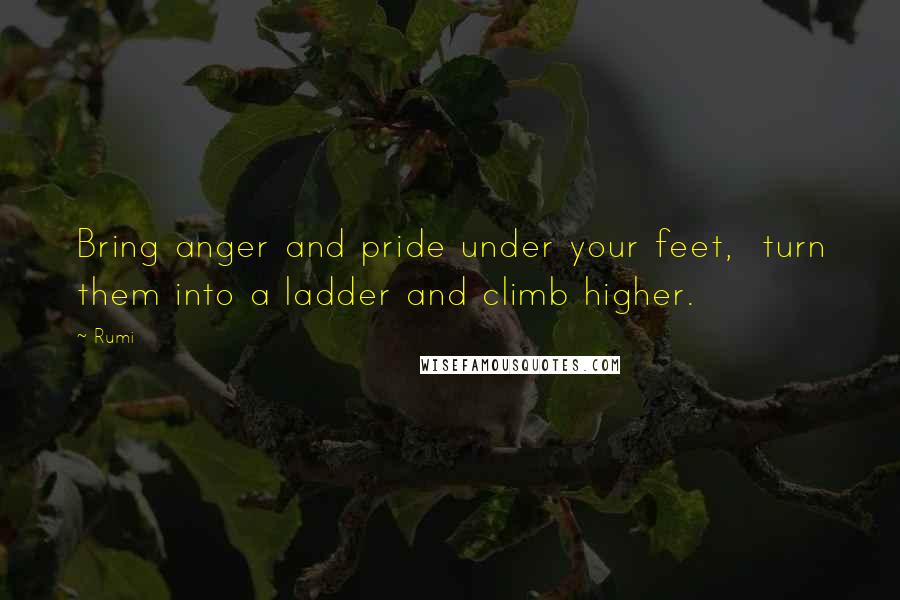 Rumi Quotes: Bring anger and pride under your feet,  turn them into a ladder and climb higher.