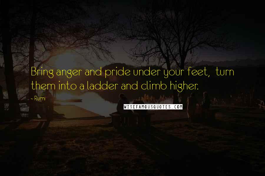 Rumi Quotes: Bring anger and pride under your feet,  turn them into a ladder and climb higher.