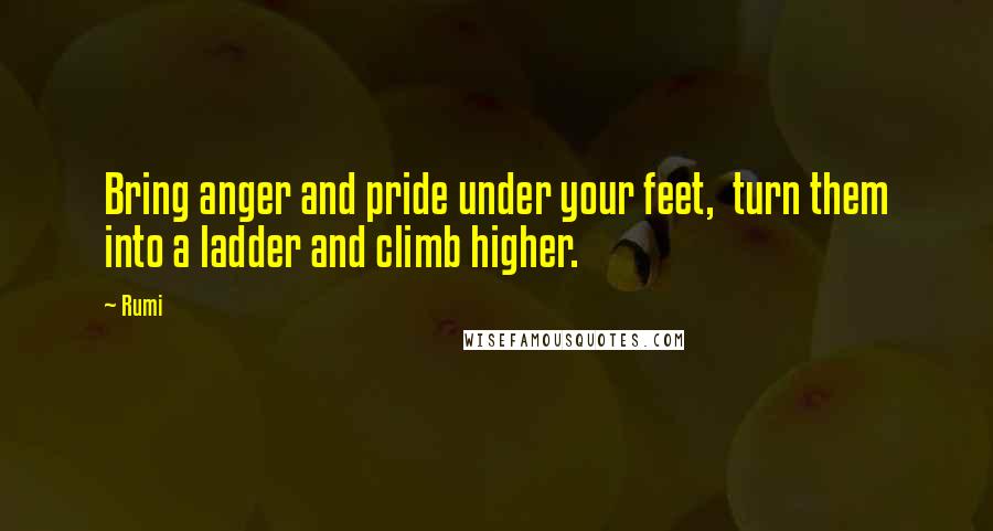 Rumi Quotes: Bring anger and pride under your feet,  turn them into a ladder and climb higher.