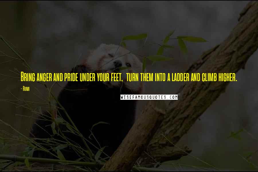 Rumi Quotes: Bring anger and pride under your feet,  turn them into a ladder and climb higher.