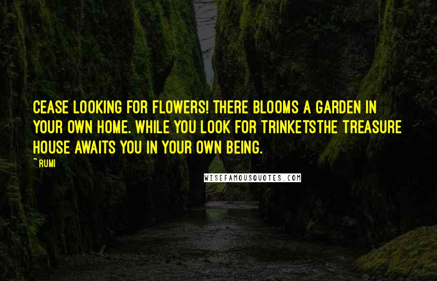 Rumi Quotes: Cease looking for flowers! There blooms a garden in your own home. While you look for trinketsThe treasure house awaits you in your own being.