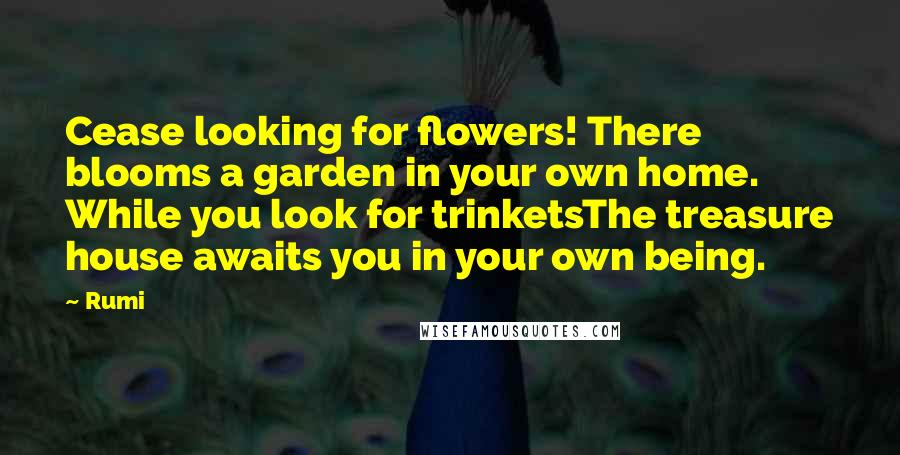 Rumi Quotes: Cease looking for flowers! There blooms a garden in your own home. While you look for trinketsThe treasure house awaits you in your own being.
