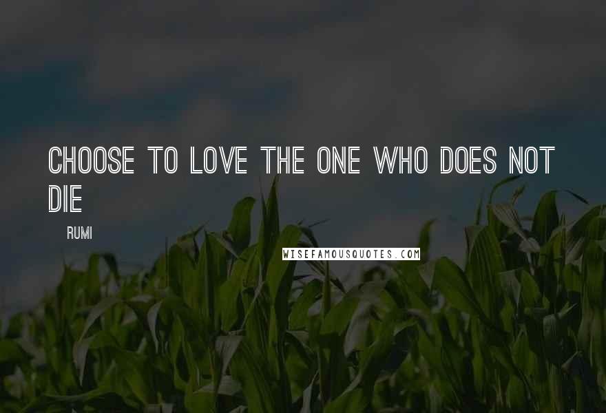 Rumi Quotes: Choose to love the one who does not die