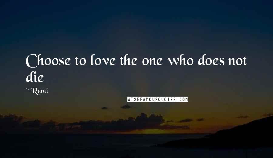 Rumi Quotes: Choose to love the one who does not die