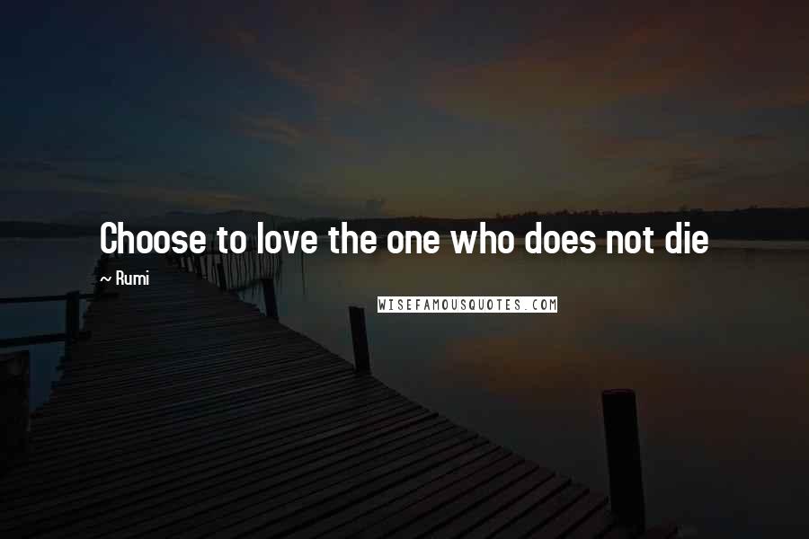Rumi Quotes: Choose to love the one who does not die