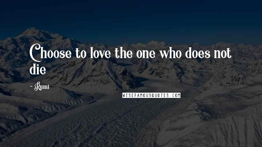 Rumi Quotes: Choose to love the one who does not die