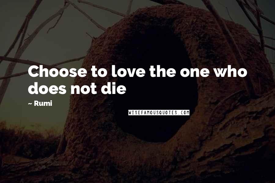 Rumi Quotes: Choose to love the one who does not die