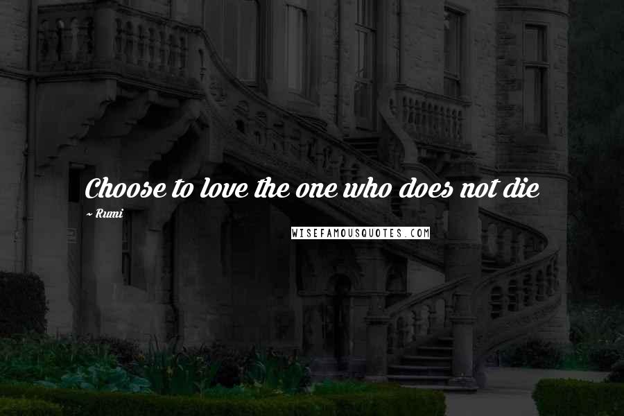 Rumi Quotes: Choose to love the one who does not die