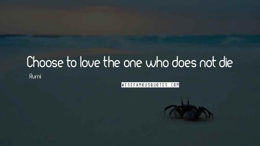 Rumi Quotes: Choose to love the one who does not die