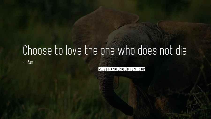 Rumi Quotes: Choose to love the one who does not die