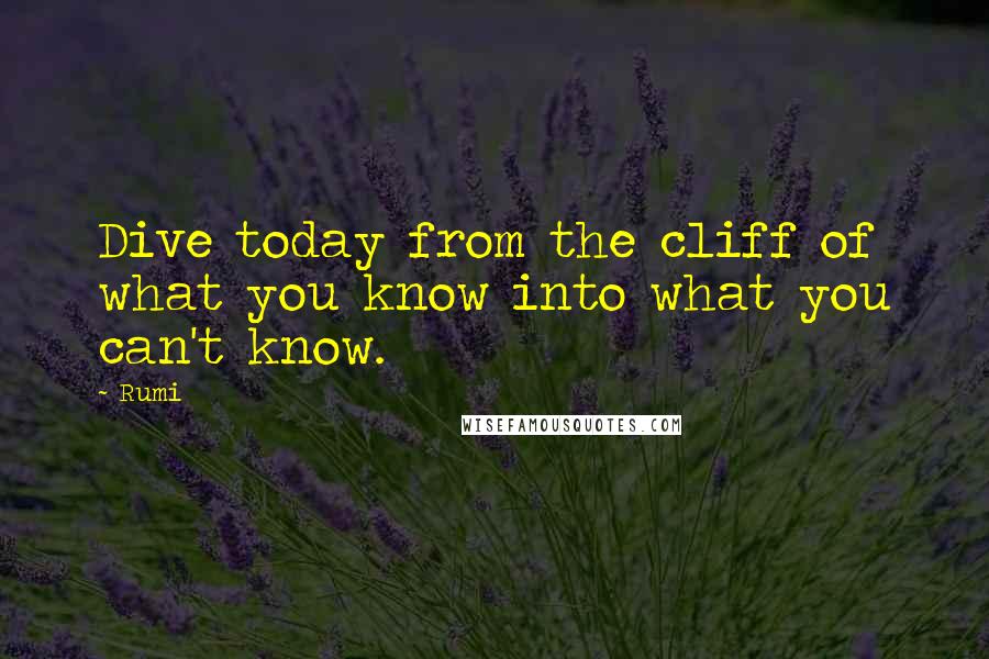 Rumi Quotes: Dive today from the cliff of what you know into what you can't know.