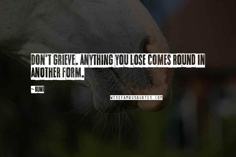 Rumi Quotes: Don't grieve. Anything you lose comes round in another form.