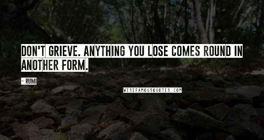 Rumi Quotes: Don't grieve. Anything you lose comes round in another form.