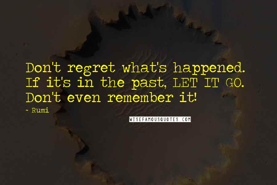 Rumi Quotes: Don't regret what's happened.  If it's in the past, LET IT GO.  Don't even remember it!