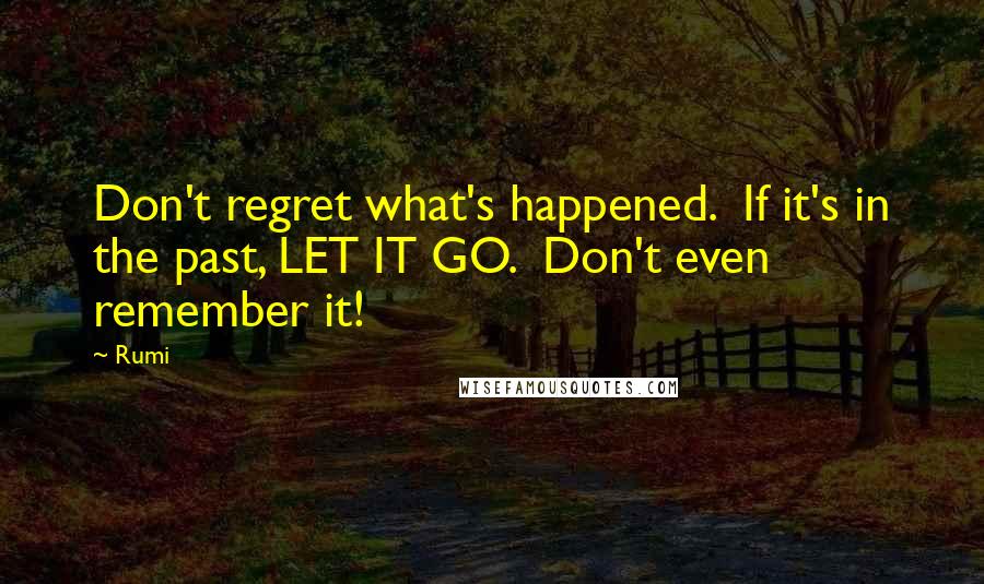 Rumi Quotes: Don't regret what's happened.  If it's in the past, LET IT GO.  Don't even remember it!