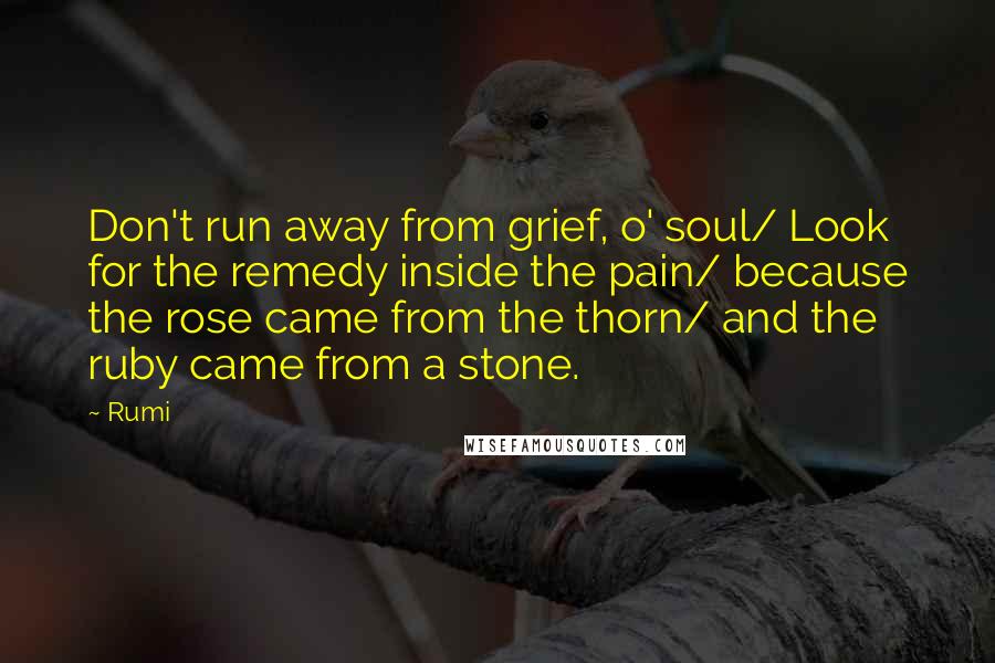 Rumi Quotes: Don't run away from grief, o' soul/ Look for the remedy inside the pain/ because the rose came from the thorn/ and the ruby came from a stone.