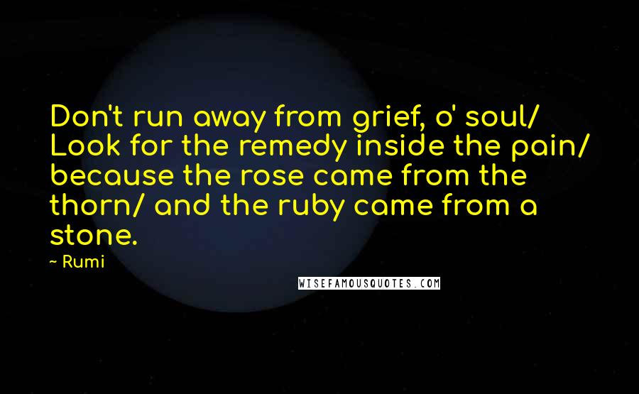 Rumi Quotes: Don't run away from grief, o' soul/ Look for the remedy inside the pain/ because the rose came from the thorn/ and the ruby came from a stone.