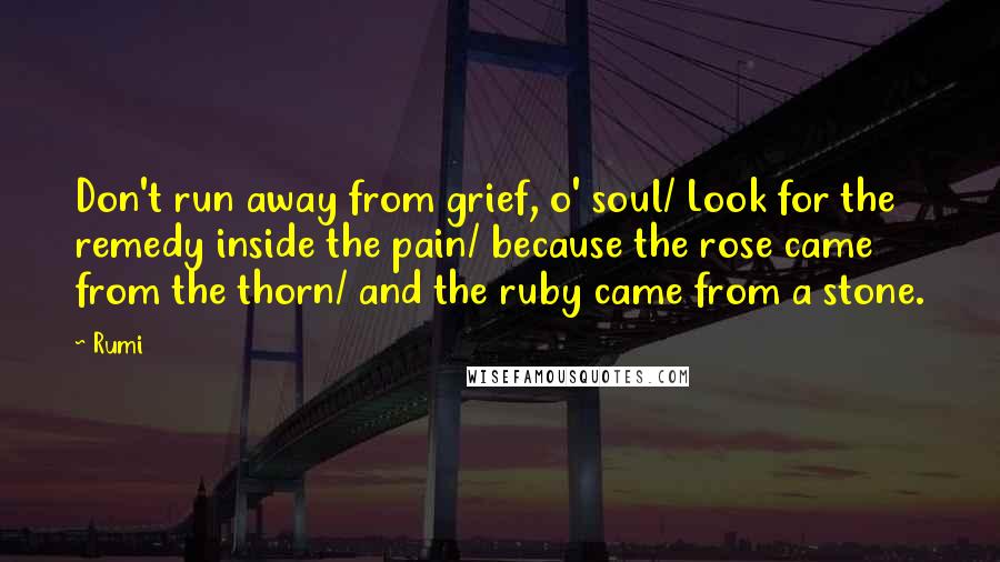 Rumi Quotes: Don't run away from grief, o' soul/ Look for the remedy inside the pain/ because the rose came from the thorn/ and the ruby came from a stone.