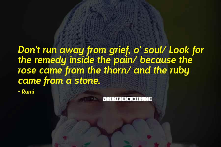 Rumi Quotes: Don't run away from grief, o' soul/ Look for the remedy inside the pain/ because the rose came from the thorn/ and the ruby came from a stone.