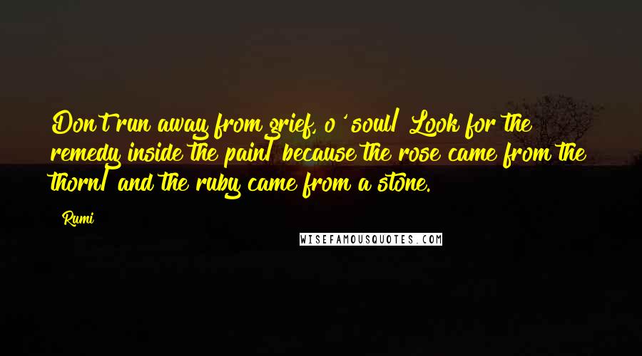 Rumi Quotes: Don't run away from grief, o' soul/ Look for the remedy inside the pain/ because the rose came from the thorn/ and the ruby came from a stone.