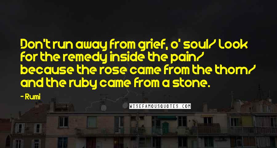 Rumi Quotes: Don't run away from grief, o' soul/ Look for the remedy inside the pain/ because the rose came from the thorn/ and the ruby came from a stone.