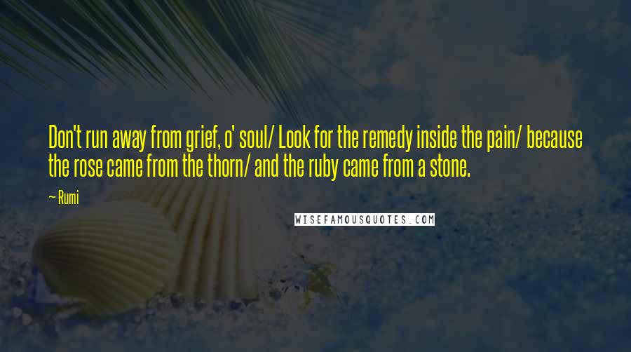 Rumi Quotes: Don't run away from grief, o' soul/ Look for the remedy inside the pain/ because the rose came from the thorn/ and the ruby came from a stone.