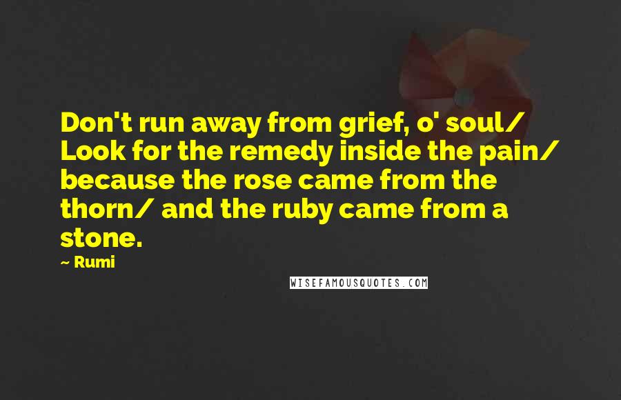 Rumi Quotes: Don't run away from grief, o' soul/ Look for the remedy inside the pain/ because the rose came from the thorn/ and the ruby came from a stone.