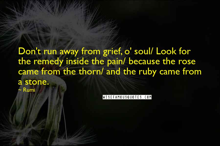 Rumi Quotes: Don't run away from grief, o' soul/ Look for the remedy inside the pain/ because the rose came from the thorn/ and the ruby came from a stone.