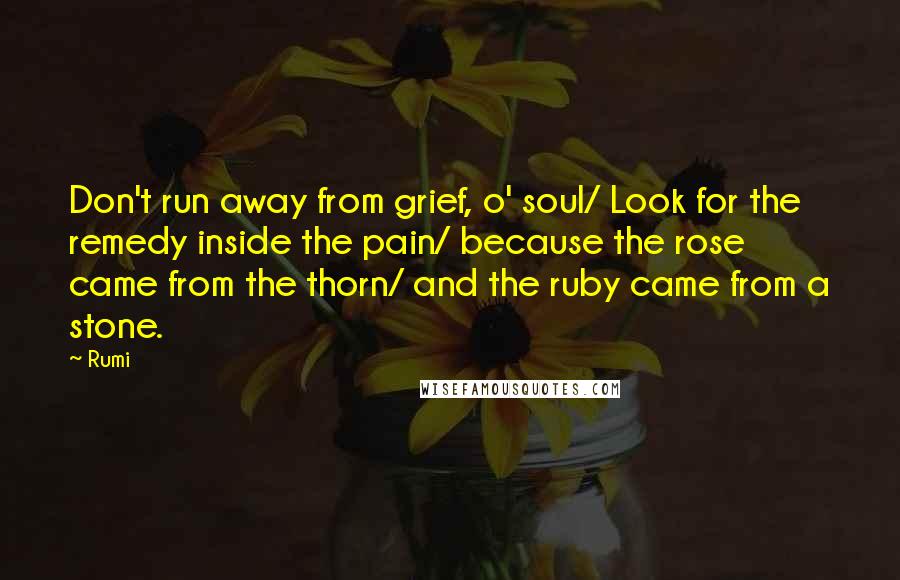 Rumi Quotes: Don't run away from grief, o' soul/ Look for the remedy inside the pain/ because the rose came from the thorn/ and the ruby came from a stone.