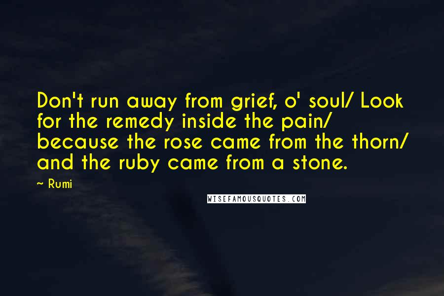 Rumi Quotes: Don't run away from grief, o' soul/ Look for the remedy inside the pain/ because the rose came from the thorn/ and the ruby came from a stone.
