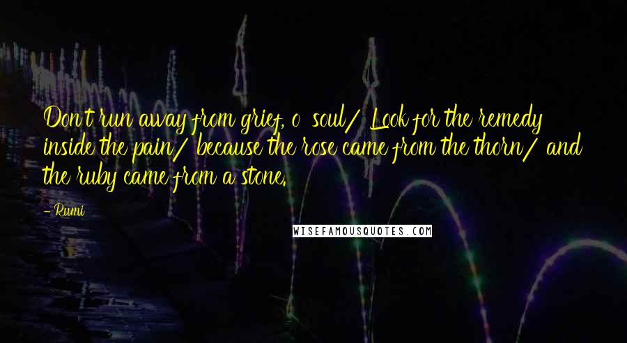 Rumi Quotes: Don't run away from grief, o' soul/ Look for the remedy inside the pain/ because the rose came from the thorn/ and the ruby came from a stone.