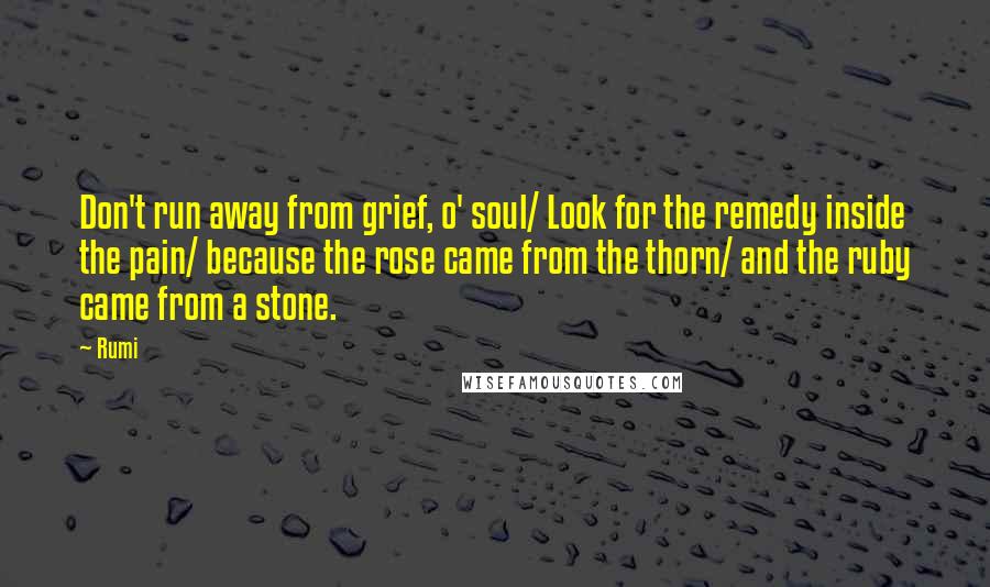 Rumi Quotes: Don't run away from grief, o' soul/ Look for the remedy inside the pain/ because the rose came from the thorn/ and the ruby came from a stone.