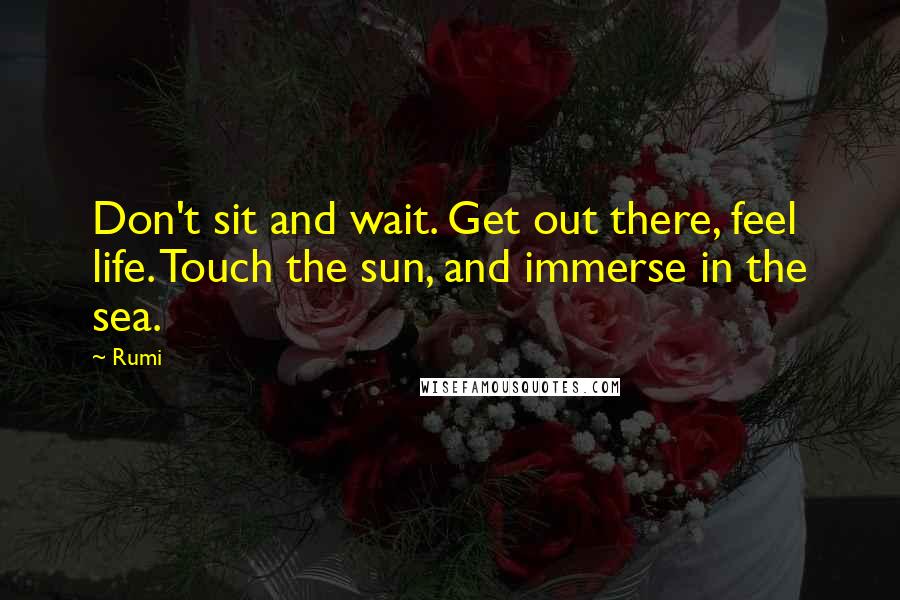 Rumi Quotes: Don't sit and wait. Get out there, feel life. Touch the sun, and immerse in the sea.